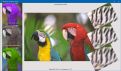 Click image for larger version

Name:	ImageBasics.png
Views:	570
Size:	1.06 MB
ID:	54